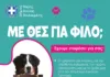 Στον Δήμο Βάρης – Βούλας – Βουλιαγμένης γιορτάζουν την Παγκόσμια Ημέρα των Ζώων!