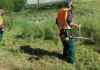 Μέχρι τα τέλη Απριλίου οι αποψιλώσεις των οικοπέδων