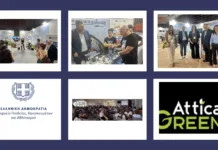Οι μαθητές στην Περιβαλλοντική Έκθεση Attica Green Expo 2026 – Συμμετοχή 13 Σχολείων της Ανατολικής Αττικής