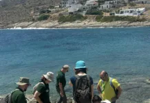 Επαναξιολόγηση του Παγκόσμιου Γεωπάρκου UNESCO Λαυρεωτικής