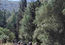 Πραγματοποιήθηκε η 2η πεζοπορική δράση «Ανακαλύπτοντας τον Υμηττό» που διοργάνωσε ο Δήμος Βύρωνα