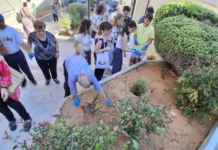 Πράσινη δράση στο ανακαινισμένο Πνευματικό Κέντρο Νέας Χαλκηδόνας «Νίκος Παπαμικρούλης»
