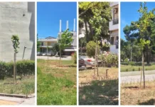 Φύτευση δέντρων στο Ηλιακό Χωριό