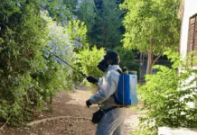 Ο Δήμος Αγίας Παρασκευής στη “μάχη” κατά των κουνουπιών