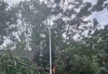 Άμεση επέμβαση του Δήμου Καισαριανής στις συνέπειες κακοκαιρίας