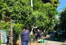 Εκτεταμένες παρεμβάσεις καθαριότητας, συντήρησης πρασίνου και ευπρεπισμού