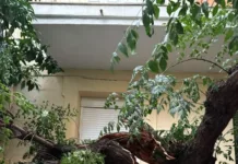 Άμεση αποκατάσταση συνεπειών κακοκαιρίας από τον Δήμο Καισαριανής Άμεση αποκατάσταση κακοκαιρίας στον Δήμο Καισαριανής