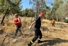 Δήμος Ελληνικού – Αργυρούπολης: “Η προστασία των κατοίκων και του βουνού μας δεν μπορεί να περιμένει”
