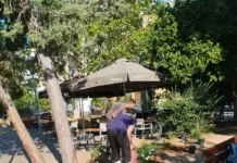 Φύτευση τριανταφυλλιών στην πλατεία Γ. Κολλημένου από τον Δήμο Βύρωνα Φύτευση τριανταφυλλιών στην πλατεία Γ. Κολλημένου
