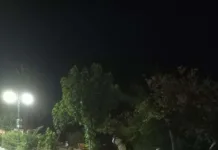 Κρούσμα ιού του Δυτικού Νείλου στο Πανόραμα Μαρκοπούλου Δημοτική ανακοίνωση για τον ιό του Δυτικού Νείλου στο Πανόραμα Μαρκοπούλου