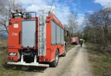 37 αγροτοδασικές πυρκαγιές σε 24 ώρες στην Ελλάδα Πυρκαγιά σε δασική περιοχή