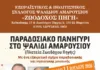 Παραδοσιακό πανηγύρι στο Ψαλίδι Αμαρουσίου | Σάββατο 11 Ιουλίου 2026