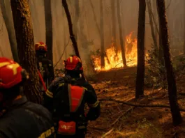 Μέτωπο αλληλεγγύης στις φλόγες