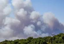Φωτιά στη Σίβηρη Χαλκιδικής: Μάχη με τις φλόγες και εκκενώσεις – Ενισχύθηκαν οι πυροσβεστικές δυνάμεις