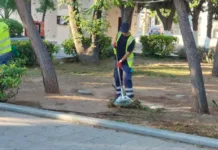 Εκτεταμένες παρεμβάσεις καθαρισμού και συντήρησης πρασίνου