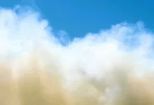 Η φωτιά στο Χαϊδάρι αναδεικνύει τα διαχρονικά προβλήματα στην αντιπυρική προστασία Πυρκαγιά στο Ποικίλο Όρος και δημοτικά οχήματα Αιγάλεω σε ετοιμότητα