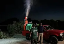 Έκτακτοι νυχτερινοί ψεκασμοί στη Λούτσα για τον ιό του Δυτικού Νείλου – Κάλυψη 10.000 στρεμμάτων από την Περιφέρεια Αττικής Συνεργείο ψεκασμού σε δρόμο της Λούτσας τη νύχτα
