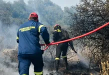 Κορωπί: Νέα φωτιά στην Αργιθέα – Συναγερμός στην Πυροσβεστική και μήνυμα 112