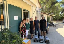 Δήμος Αιγάλεω: Σε εξέλιξη το πρόγραμμα στειρώσεων και περίθαλψης αδέσποτων γατών