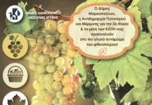 Γιορτή Μούστου και Μουσταλευριάς