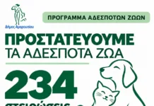 Δήμος Αμαρουσίου: Ενισχύεται το πρόγραμμα προστασίας των αδέσποτων ζώων