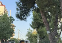 Επιβεβαιωμένο κρούσμα του ιού του Δυτικού Νείλου στο Μαρούσι