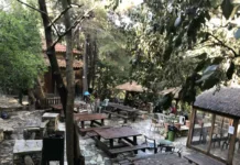 Κλειστά σήμερα τα κυλικεία του Δήμου Καισαριανής λόγω στάσης εργασίας της Αδεδυ Κυλικείο σε δημόσιο χώρο του Δήμου Καισαριανής