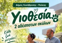 Δήμος Λυκόβρυσης – Πεύκης: Διπλή υιοθεσία αδέσποτων σκύλων