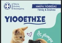 Ημέρα Υιοθεσίας Σκύλου και Γάτας