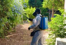 Κρούσμα ιού του Δυτικού Νείλου στον Δήμο Φιλοθέης – Ψυχικού, άμεσα μέτρα προστασίας