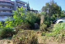 Συνεχίζονται οι δράσεις καθαριότητας, συντήρησης πρασίνου και ευπρεπισμού